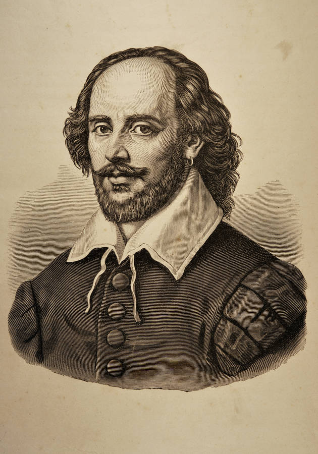 The Life of William Shakespeare Critical summary review