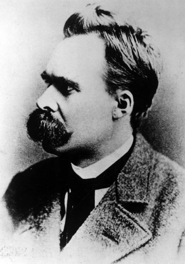 A Vida de Friedrich Nietzsche Resenha crítica