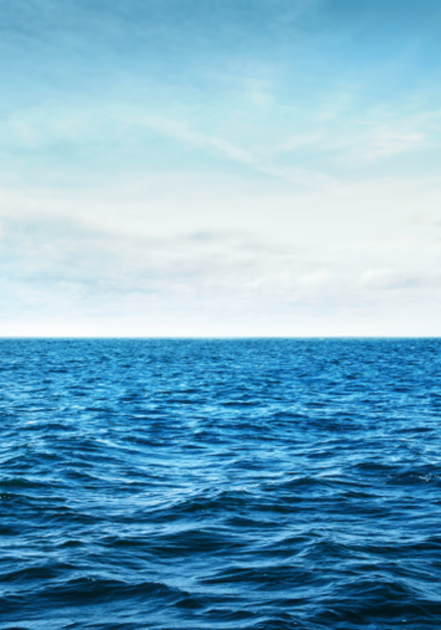 A transição para o oceano azul Resenha crítica
