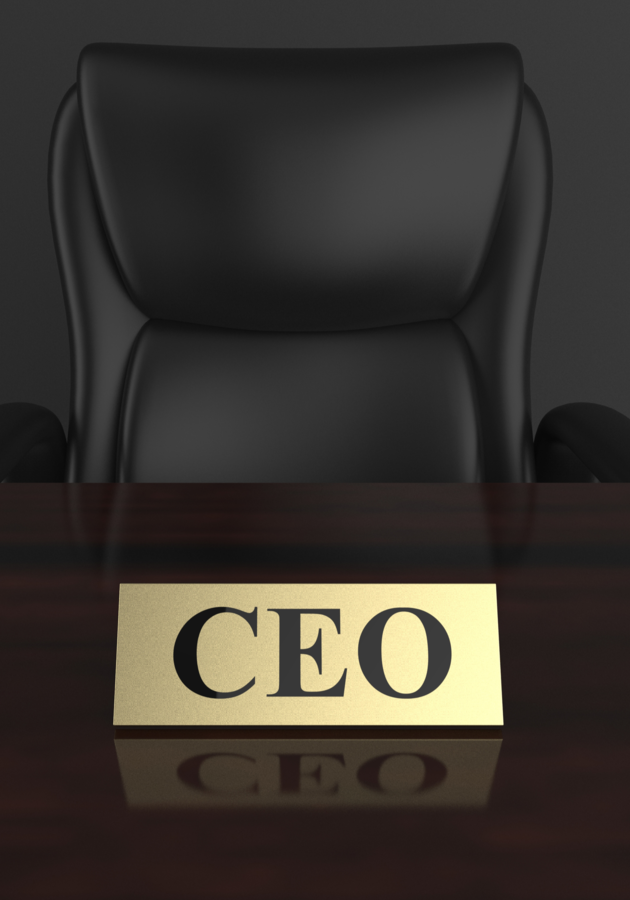 The great CEO within Resenha crítica