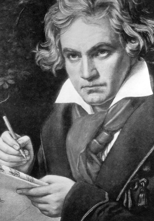 A vida de Ludwig van Beethoven Resenha crítica