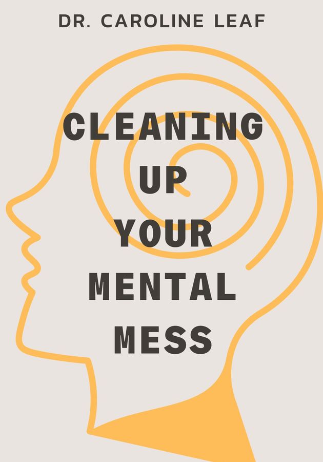 Cleaning Up Your Mental Mess   Critical summary review